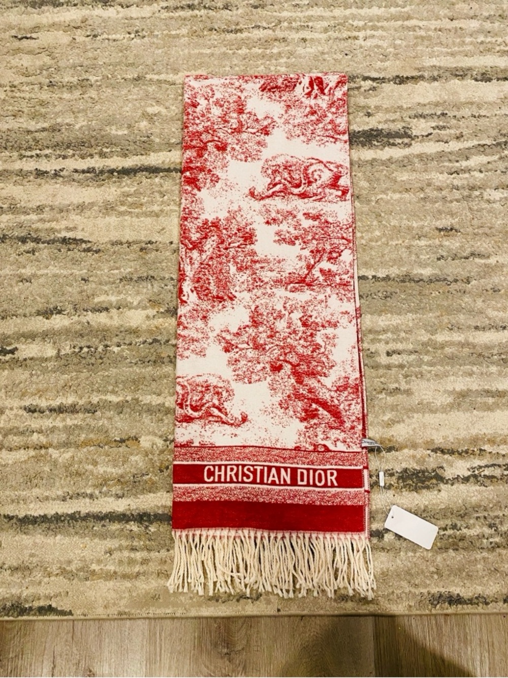 Dior Toile De Jouy Sauvage Scarf